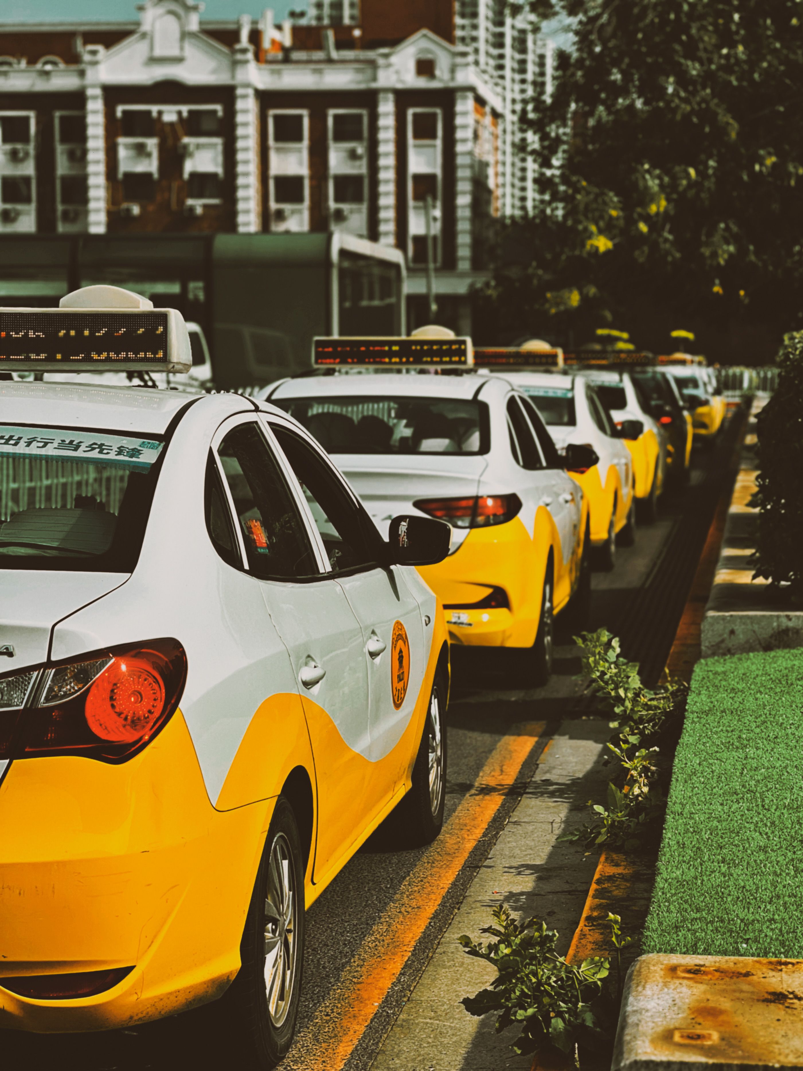 A row of yellow taxis lined up on a city street
